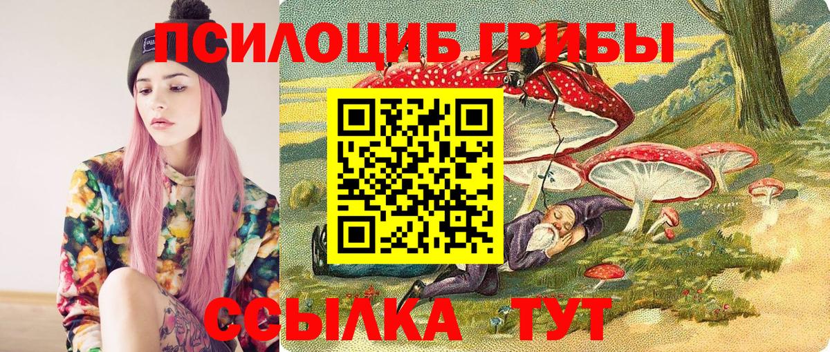 Псилоцибиновые грибы мицелий  Галлюциногенные грибы мицелий  Вход с VPN  Торжок 