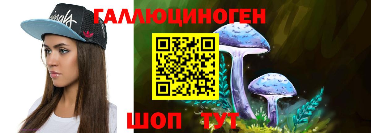 Псилоцибиновые грибы мицелий Торжок
